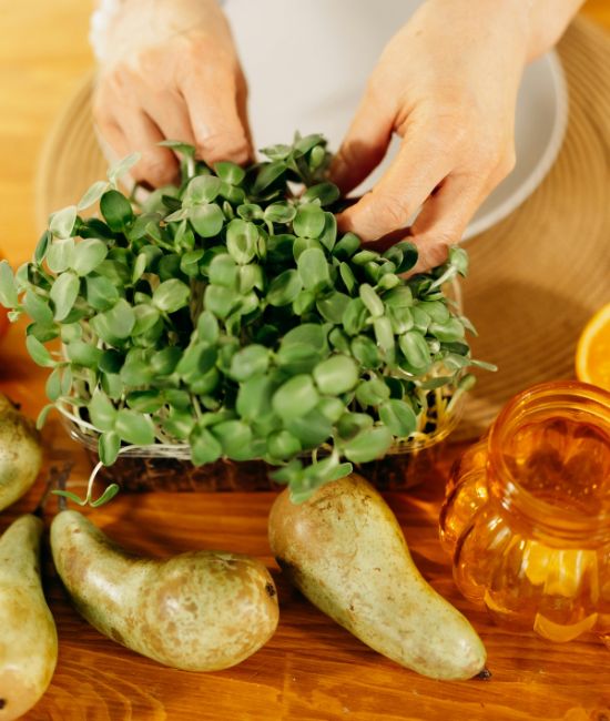 Traiteur a cassis, la ciotat et les alentours pour vos retraites et stages bien etre / yoga 5